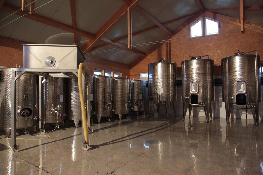 Winzerzimmer - Weingut Tinhof Eisenstadt Exteriér fotografie