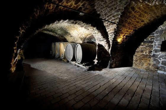 Winzerzimmer - Weingut Tinhof Eisenstadt Exteriér fotografie