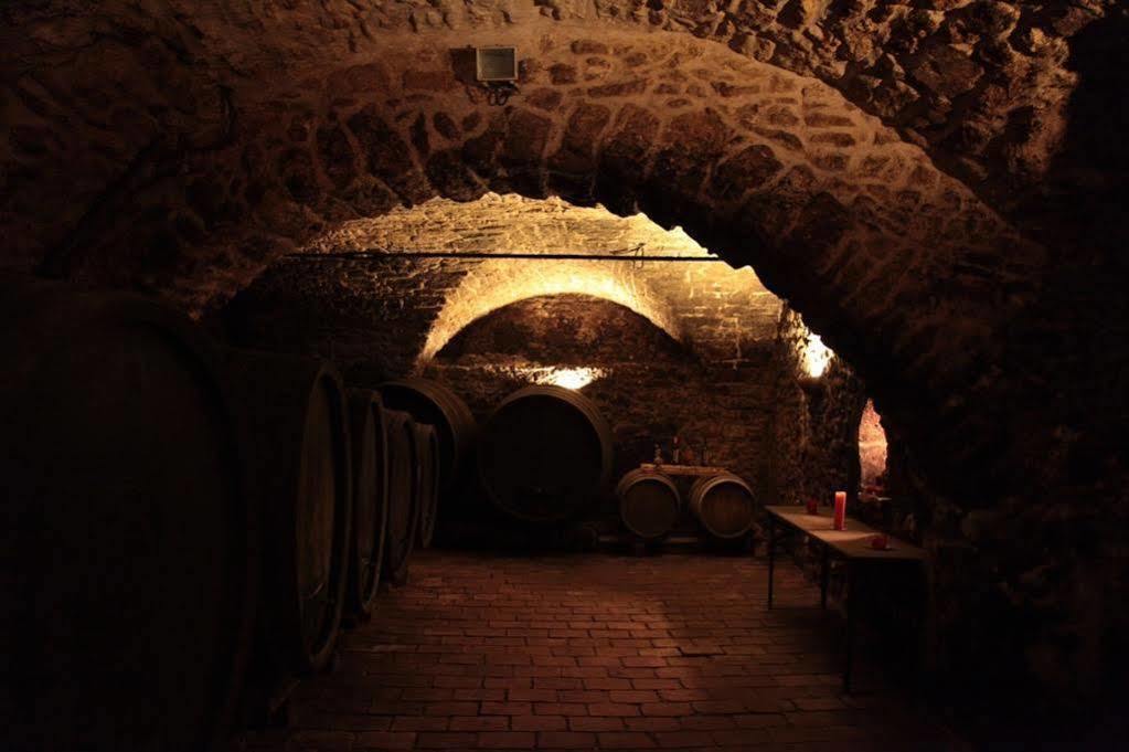 Winzerzimmer - Weingut Tinhof Eisenstadt Exteriér fotografie